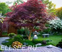 Ландшафтный дизайн Вашего сада - 2