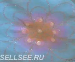 14-12 лет топ б у 90 хлопок 10 эластан - 2