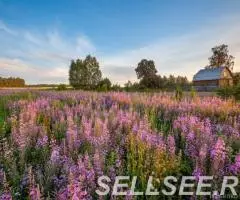 Продаю земельный участок 20,6 ГА - 3