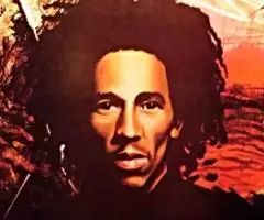 Пластинка виниловая Bob Marley - Natty Dread