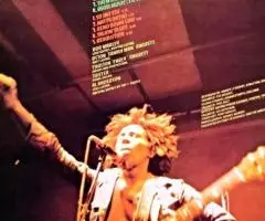 Пластинка виниловая Bob Marley - Natty Dread - 2