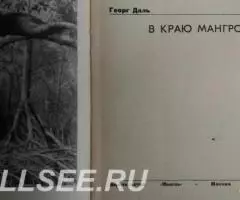 В краю мангров - 4