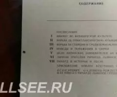 Крестом и мечом - 3