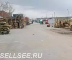 Аренда открытой асфальтированной площадки на севере Москвы. - 4