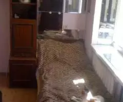 койко-место и комната парню в-эенщтне оенвед в 3 комнатной - 2