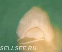 Шапка 48-50 болоний теплая Россия новая - 2