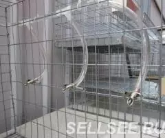 Нипельные поилки для кроликов - 3