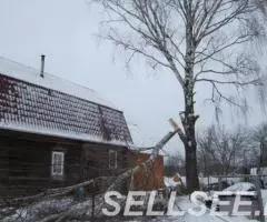 Спил деревьев кронирование деревьев - 3