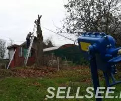 Спил деревьев кронирование деревьев - 4