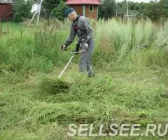 Покос Травы Бурьяна Сухостоя - 4