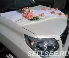 Прокат свадеб Торжеств Юбилеев - 3