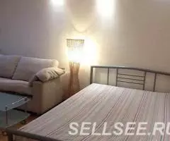 Современная 1-комнатная квартира на ул. Белинского - 2