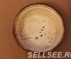 масленка орешки нач. 20 века - 3