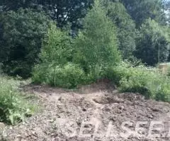 Участок 15 соток, ИЖС, в д. Рай, с коммуникациями - 4