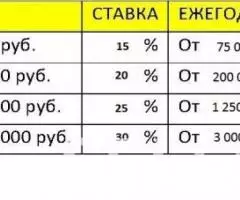 Инвестиции в грибоводство - 2