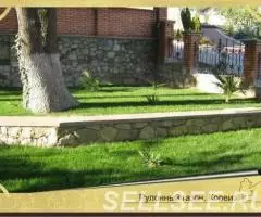 Укладка рулонного газона. Севастополь. Крым. - 3