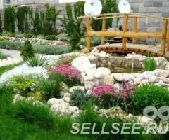 Консультации по ландшафтному дизайну. - 2