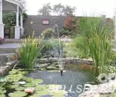 Водоёмы. Пруды. Фонтаны. Севастополь, Крым - 3