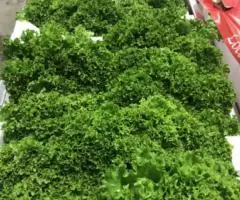 Продаем салаты - 3