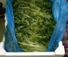 Продаем зелень из Испании - 3