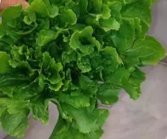 Продаем зелень из Испании - 4