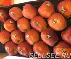 Продаем яблоки - 2