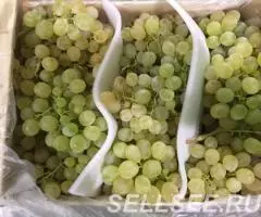 Продаем виноград - 3