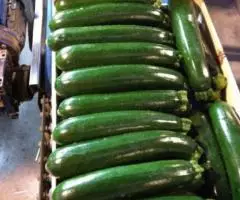 Продаем кабачки - 3