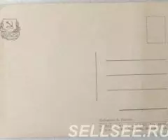 Жалоба мыши на кота 1956 Елисеев открытка - 2