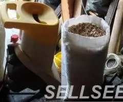 Опилки для копчения из тёрна кустарник семейства сливовых - 2