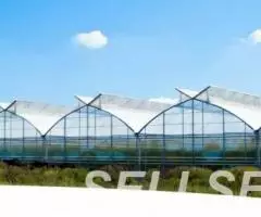 Строительство теплиц от мало до велика - 2