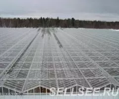 Строительство теплиц от мало до велика - 3