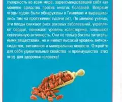 Ю. Николаева - Ягоды Годжи - 2