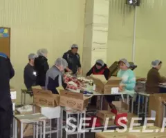 Требуется упаковщик ца продукции - 2