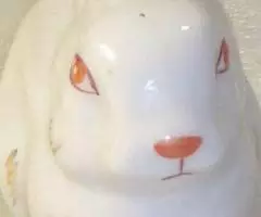 Кролик с красными глазами советский - 2