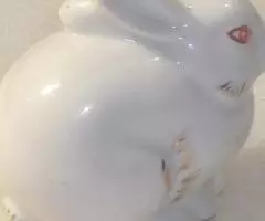 Кролик с красными глазами советский - 3