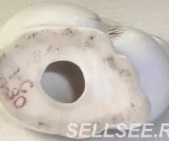 Кролик с красными глазами советский - 4