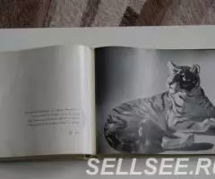 Художественный фарфор. Каталог - 3