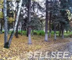 Продажа здания с землей в центре Люберец - 2