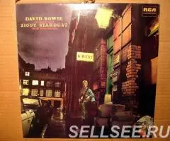 Пластинка David Bowie -The Rise And Fall Of Ziggy Stardust