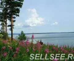 Продаю дачный участок на Таватуе - 3