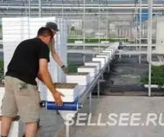 Конвейер тепличный для горшков, лотков кассет NTA, NTV ... - 2