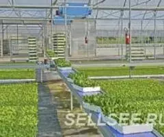 Конвейер тепличный для горшков, лотков кассет NTA, NTV ... - 3