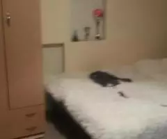 Сдаётся 2-ух ком дом по ул. Шукшина - 3