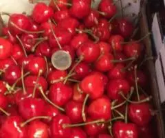 Продаем черешню из Испании - 3