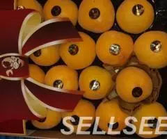 Продаем персик - 2