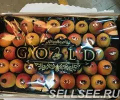 Продаем абрикосы - 3