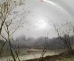 Старинная декоративная тарелка Природа d 19 см. - 3