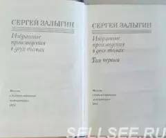 Сергей Залыгин. Избранные произведения в двух томах - 3