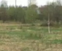 Участок соток 60 км от МКАД - 2